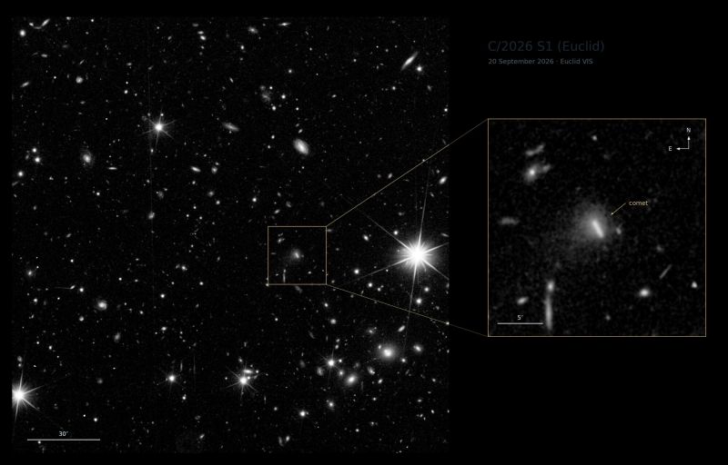 Champ du ciel en noir et blanc semé d'étoiles à branches et de petites galaxies ovales ou spirales. Un petit cadre doré au centre droit est relié par deux lignes à un agrandissement, à droite, où un trait lumineux court et oblique baigne dans un halo diffus, signalé par une flèche et le mot anglais « comet ». En haut à droite, l'inscription « C/2026 S1 (Euclid), 20 September 2026 · Euclid VIS ».