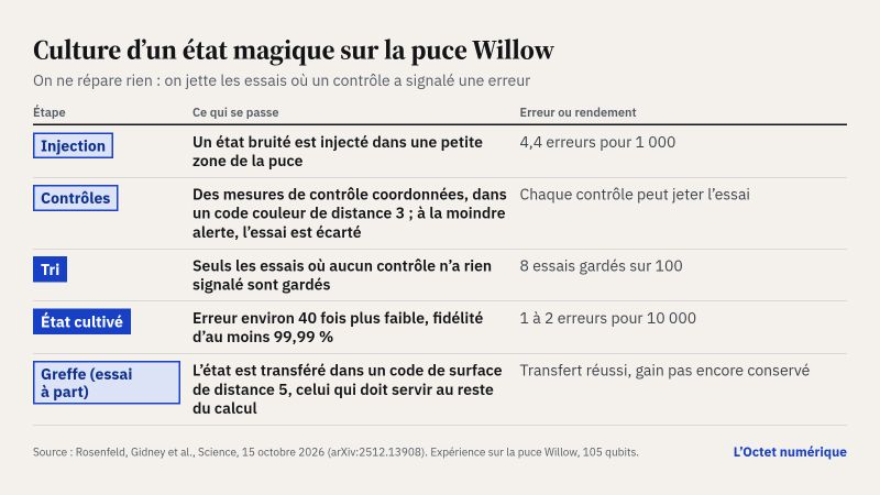 Tableau en cinq étapes : injection d'un état bruité dans une petite zone de la puce, avec 4,4 erreurs pour 1 000 ; mesures de contrôle coordonnées dans un code couleur de distance 3, l'essai étant écarté à la moindre alerte ; tri, seuls les essais sans signalement étant gardés, 8 sur 100 ; état cultivé, avec une erreur environ 40 fois plus faible, 1 à 2 pour 10 000, et une fidélité d'au moins 99,99 % ; dans un essai à part, greffe dans un code de surface de distance 5 : le transfert réussit, mais le gain n'est pas encore conservé.