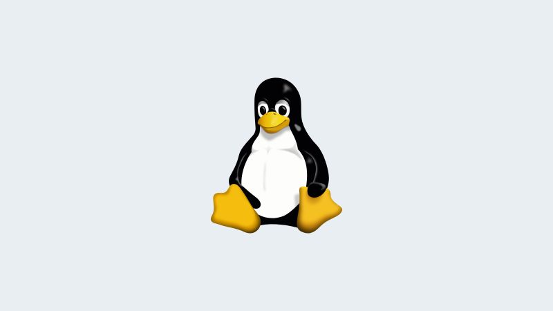 Tux, le manchot mascotte du noyau Linux, assis, sur fond gris-bleu uni.