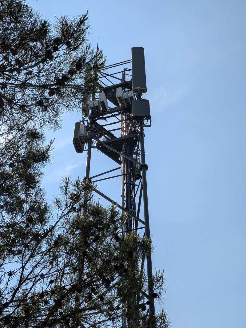 Haut d'un pylône métallique de téléphonie mobile vu d'en bas, sur un ciel bleu : panneaux d'antennes gris, boîtiers blancs et câbles, branches de pin au premier plan à gauche.